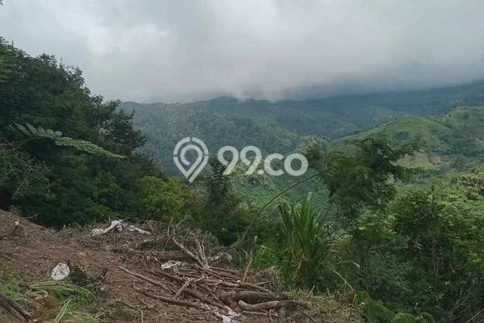 Lahan Strategis di Pangalengan Dijual dengan Luas 77349m2 Lahan Strategis di Pangalengan Dijual dengan Luas 77349m2