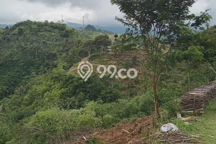 Lahan Strategis di Pangalengan Dijual dengan Luas 77349m2 Lahan Strategis di Pangalengan Dijual dengan Luas 77349m2