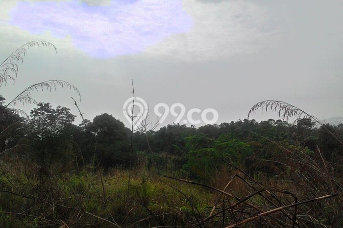 Tanah Strategis Dijual di Cigudeg Bogor 58540m2 Tanah Strategis Dijual di Cigudeg Bogor 58540m2