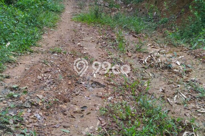 Tanah Strategis Dijual di Cigudeg Bogor 58540m2 Tanah Strategis Dijual di Cigudeg Bogor 58540m2