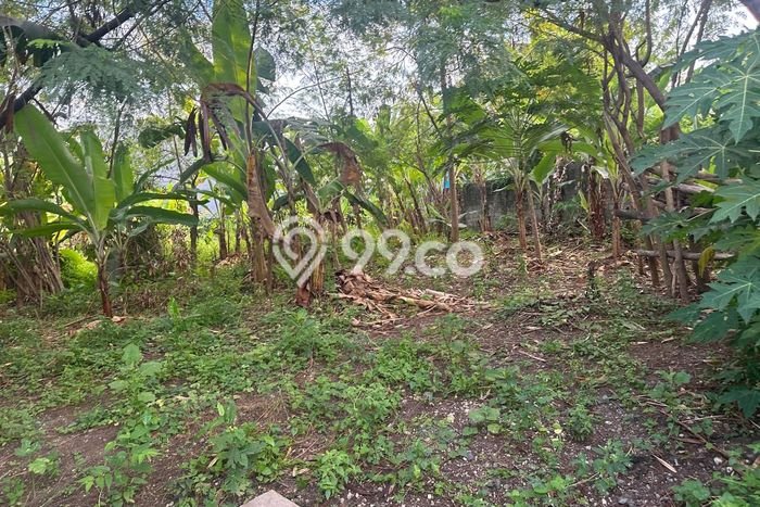 Tanah Disewa di Renon Strategis dan Memiliki Luas 650m2 Tanah Disewa di Renon Strategis dan Memiliki Luas 650m2