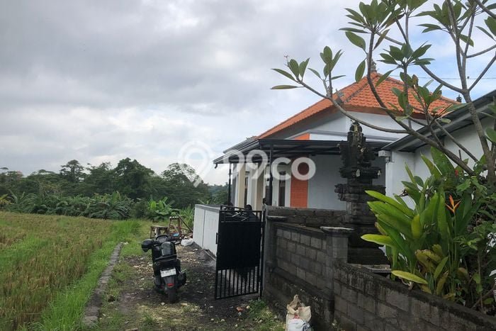 Hunian Nyaman Asri 2 KT Siap Pakai di Dauhpeken Tabanan Hunian Nyaman Asri 2 KT Siap Pakai di Dauhpeken Tabanan