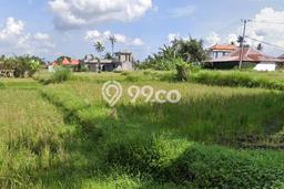 Lahan Disewakan di Ubud, Gianyar, Luas 1000m2 - Lahan Disewakan di Ubud, Gianyar, Luas 1000m2 -