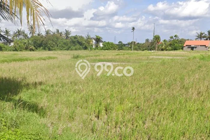 Lahan Disewakan di Ubud, Gianyar, Luas 1000m2 - Lahan Disewakan di Ubud, Gianyar, Luas 1000m2 -