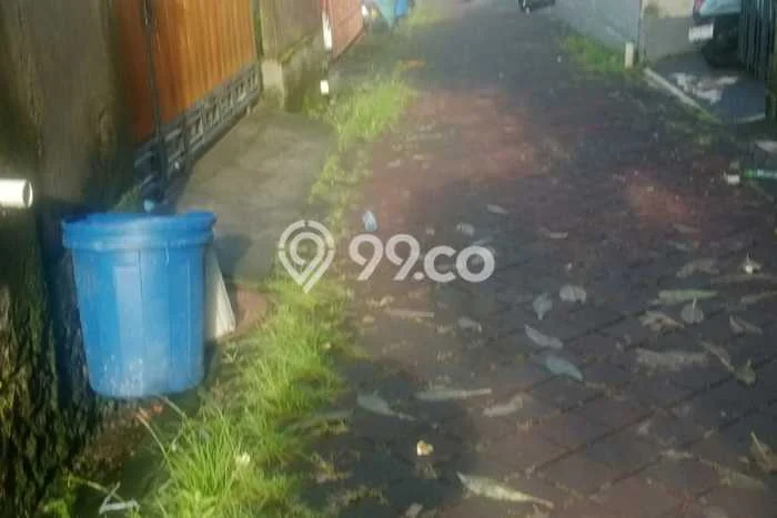 Tanah Dijual Area Strategis di Kapal Badung 118m2 Tanah Dijual Area Strategis di Kapal Badung 118m2