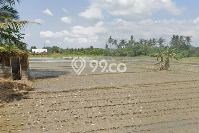 Lahan Disewakan di Ubud, Gianyar, Luas 1000m2 - Lahan Disewakan di Ubud, Gianyar, Luas 1000m2 -