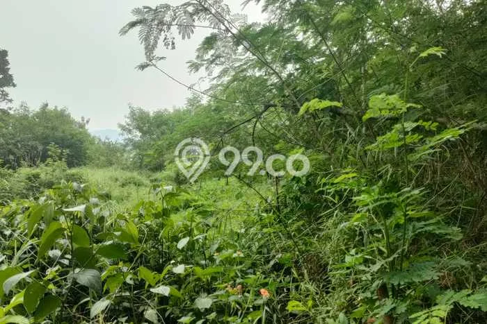 Dijual Tanah di Bogor, Luas 889m2 - Dijual Tanah di Bogor, Luas 889m2 -