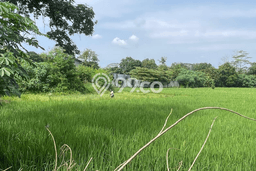 Lahan Kosong Dijual di Tangerang dengan Area 7000m2 Lahan Kosong Dijual di Tangerang dengan Area 7000m2