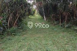 Tanah Dijual Lokasi Ranca Bungur, Bogor Luas 65000m2 Legalitas Aman Tanah Dijual Lokasi Ranca Bungur, Bogor Luas 65000m2 Legalitas Aman