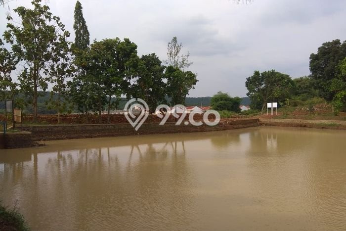 Tanah Dijual Lokasi Ranca Bungur, Bogor Luas 65000m2 Legalitas Aman Tanah Dijual Lokasi Ranca Bungur, Bogor Luas 65000m2 Legalitas Aman