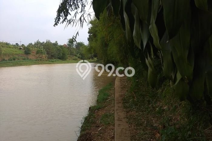 Tanah Dijual Lokasi Ranca Bungur, Bogor Luas 65000m2 Legalitas Aman Tanah Dijual Lokasi Ranca Bungur, Bogor Luas 65000m2 Legalitas Aman