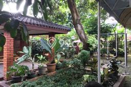 Siap Huni Rumah Mewah 6 Kamar di Kebayoran Baru Dekat ke Mana Saja Siap Huni Rumah Mewah 6 Kamar di Kebayoran Baru Dekat ke Mana Saja