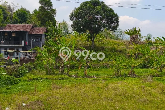 Tanah di Prigen, Pasuruan Luas 2800m2 Dijual Segera Tanah di Prigen, Pasuruan Luas 2800m2 Dijual Segera