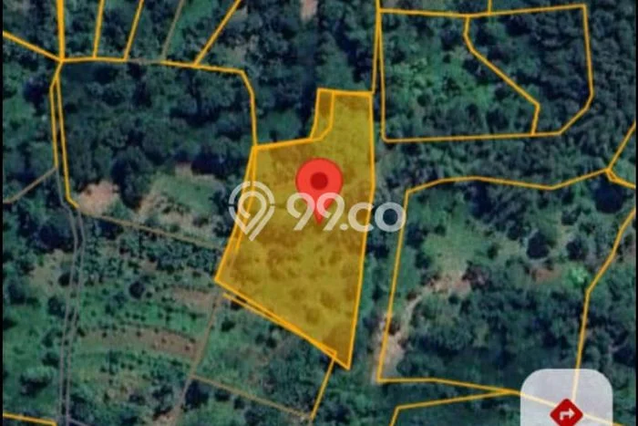 Tanah untuk Dijual di Tutur Pasuruan Luas 3432m2 Tanah untuk Dijual di Tutur Pasuruan Luas 3432m2