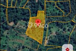 Tanah untuk Dijual di Tutur Pasuruan Luas 3432m2 Tanah untuk Dijual di Tutur Pasuruan Luas 3432m2