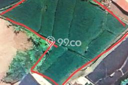 Tanah untuk Dijual di Pandaan Pasuruan Luas 3100m2 Tanah untuk Dijual di Pandaan Pasuruan Luas 3100m2