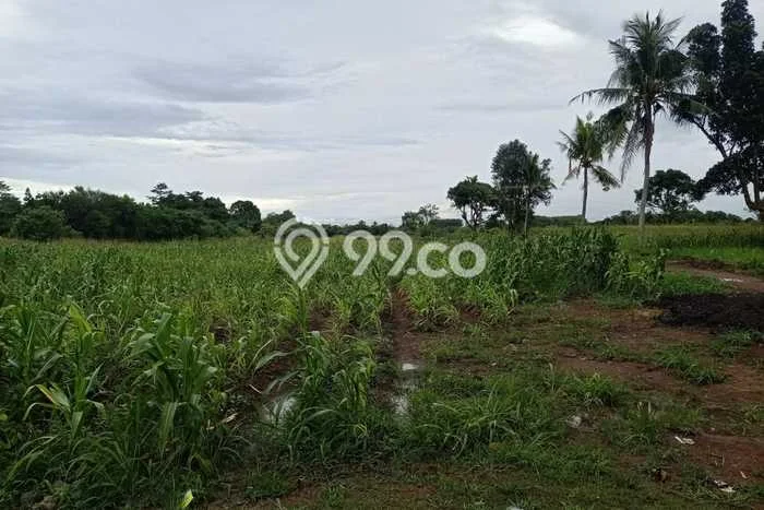Lahan Kosong Dijual di Serang dengan Area 30000m2 Lahan Kosong Dijual di Serang dengan Area 30000m2