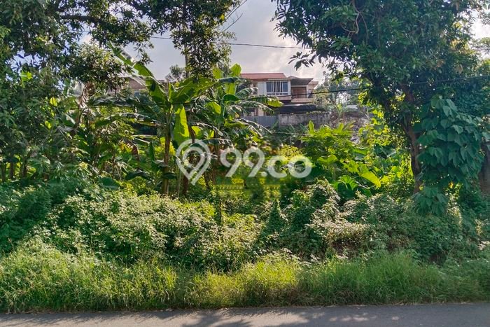 Lahan Investasi Lokasi Semarang Barat Semarang SHM Lahan Investasi Lokasi Semarang Barat Semarang SHM
