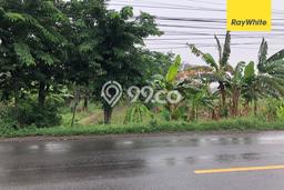 Tanah di Kedamean, Gresik Luas 1427m2 Dijual Segera Tanah di Kedamean, Gresik Luas 1427m2 Dijual Segera