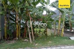 Kavling Tanah di Kenjeran Dijual Luas 320m2 Legalitas SHM Kavling Tanah di Kenjeran Dijual Luas 320m2 Legalitas SHM