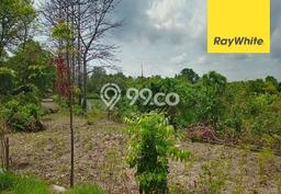 Tanah Kosong Dijual di Lamongan dengan Area 39780m2 Tanah Kosong Dijual di Lamongan dengan Area 39780m2
