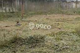 Tanah Kavling untuk Dijual di Katapang Bandung 1600m2 Tanah Kavling untuk Dijual di Katapang Bandung 1600m2