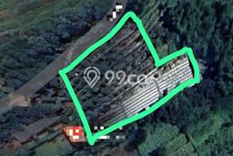 Tanah Kavling Dijual di Cisarua, Bandung dengan Luas Tanah 5600m2 Tanah Kavling Dijual di Cisarua, Bandung dengan Luas Tanah 5600m2