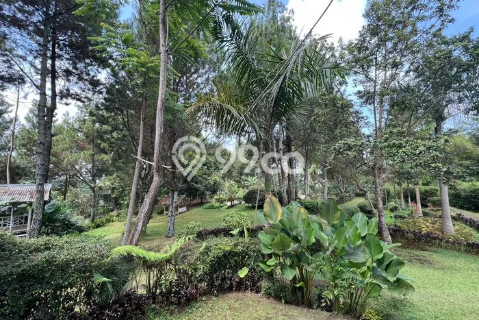 Tanah di Lembang, Bandung Barat Luas 17985m2 Dijual Segera Tanah di Lembang, Bandung Barat Luas 17985m2 Dijual Segera