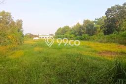 Kavling Tanah di Bungursari Dijual Luas 7000m2 Legalitas AJB Kavling Tanah di Bungursari Dijual Luas 7000m2 Legalitas AJB