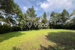 Tanah di Lembang, Bandung Barat Luas 17985m2 Dijual Segera Tanah di Lembang, Bandung Barat Luas 17985m2 Dijual Segera