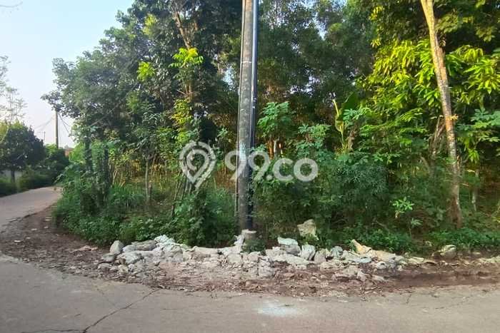 Kavling Tanah di Bungursari Dijual Luas 7000m2 Legalitas AJB Kavling Tanah di Bungursari Dijual Luas 7000m2 Legalitas AJB