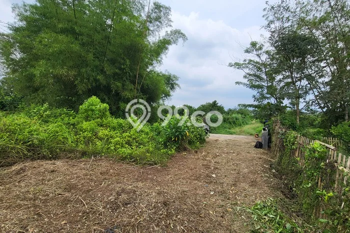 Lahan Investasi Lokasi Dau Malang SHM Lahan Investasi Lokasi Dau Malang SHM