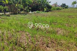 Dijual Tanah Lokasi Merjosari, Malang Seluas 200m2 Dijual Tanah Lokasi Merjosari, Malang Seluas 200m2