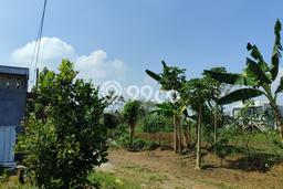 Dijual Tanah Lokasi Merjosari, Malang Seluas 200m2 Dijual Tanah Lokasi Merjosari, Malang Seluas 200m2