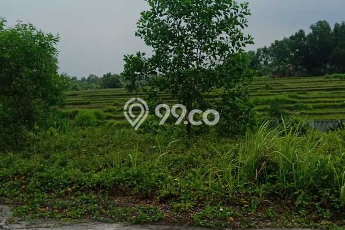 Kavling Tanah untuk Dijual di Citra Maja Raya, Tangerang, Luas 90m2 Kavling Tanah untuk Dijual di Citra Maja Raya, Tangerang, Luas 90m2