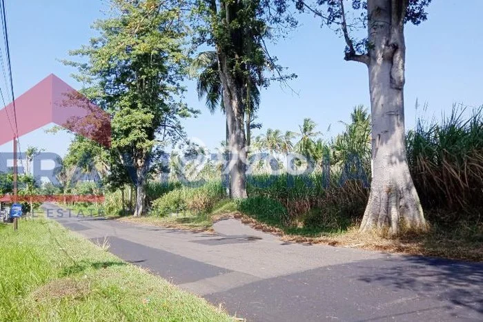 Lahan Kosong Dijual di Wonosari, Malang, Luas 7041m2 Area Strategis Lahan Kosong Dijual di Wonosari, Malang, Luas 7041m2 Area Strategis