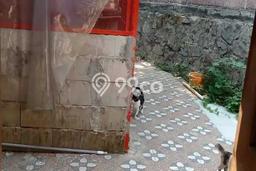 Jual Rumah Favorit Siap Huni LB 100m2 di Parung Panjang, Bogor Jual Rumah Favorit Siap Huni LB 100m2 di Parung Panjang, Bogor
