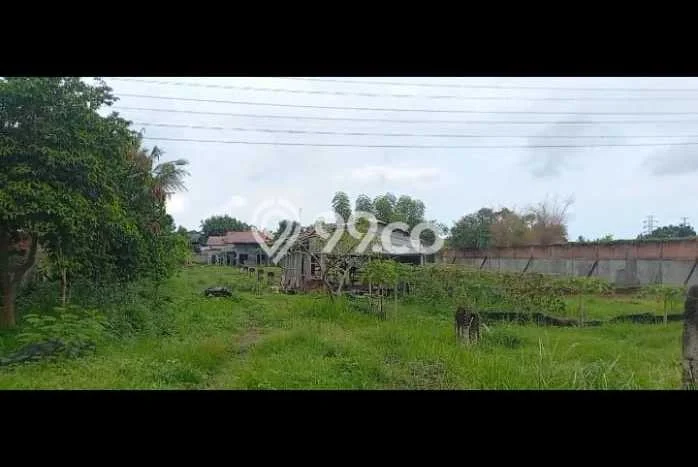 Tanah Kavling Disewakan di Teluk Naga dengan Luas 5058m2 Tanah Kavling Disewakan di Teluk Naga dengan Luas 5058m2