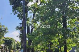 Dijual Tanah Lokasi Legenda Wisata, Bogor Seluas 426m2 Dijual Tanah Lokasi Legenda Wisata, Bogor Seluas 426m2