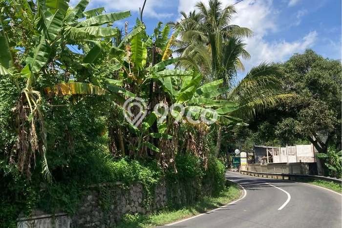 Kavling Tanah Dijual di Bandungan Semarang Spesifikasi 540m2 Kavling Tanah Dijual di Bandungan Semarang Spesifikasi 540m2