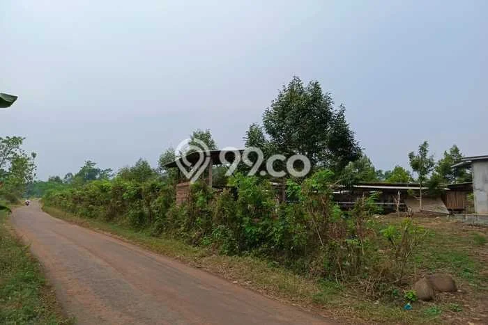 Lahan Dijual Lokasi Tulis, Batang dengan Luas Tanah 10900m2 dan Status SHM Lahan Dijual Lokasi Tulis, Batang dengan Luas Tanah 10900m2 dan Status SHM