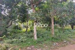 Lahan Investasi Lokasi Cileungsi Bogor SHM Lahan Investasi Lokasi Cileungsi Bogor SHM
