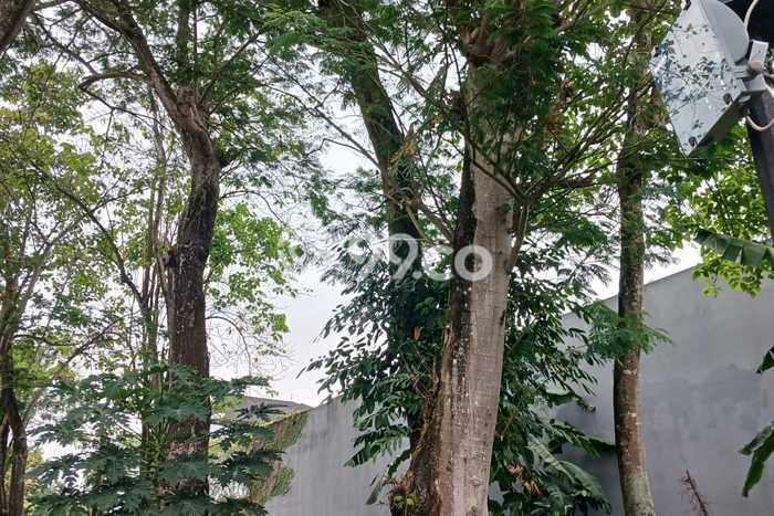 Lahan Strategis di BSD Dijual dengan Luas 606m2 Lahan Strategis di BSD Dijual dengan Luas 606m2