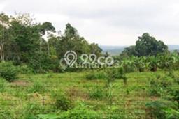 Tanah Dijual Lokasi Strategis di Badung dengan Luas 15335m2 Tanah Dijual Lokasi Strategis di Badung dengan Luas 15335m2