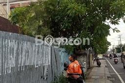 Tanah Dijual Lokasi Denpasar Utara Denpasar SHM Tanah Dijual Lokasi Denpasar Utara Denpasar SHM