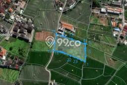 Dijual Tanah 1085m2 di Canggu, Badung Dijual Tanah 1085m2 di Canggu, Badung