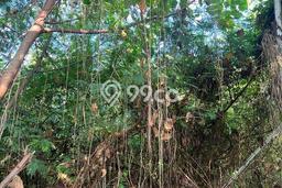 Untuk Dijual Tanah di Badung, Luas 1440m2 SHM Untuk Dijual Tanah di Badung, Luas 1440m2 SHM
