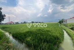 Tanah Kavling Dijual di Bandung dengan Spesifikasi 7000m2 Tanah Kavling Dijual di Bandung dengan Spesifikasi 7000m2