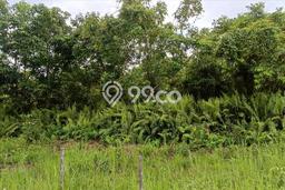 Lahan Investasi Lokasi Marpoyan Damai Pekanbaru SHM Lahan Investasi Lokasi Marpoyan Damai Pekanbaru SHM
