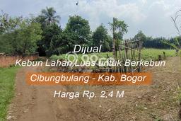 Jarang Ada! Tanah di Cibungbulang Punya Luas 4995m2 SHM Jarang Ada! Tanah di Cibungbulang Punya Luas 4995m2 SHM